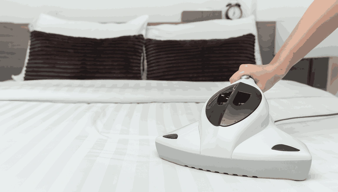 Professional Mattress Cleaning Bentleigh